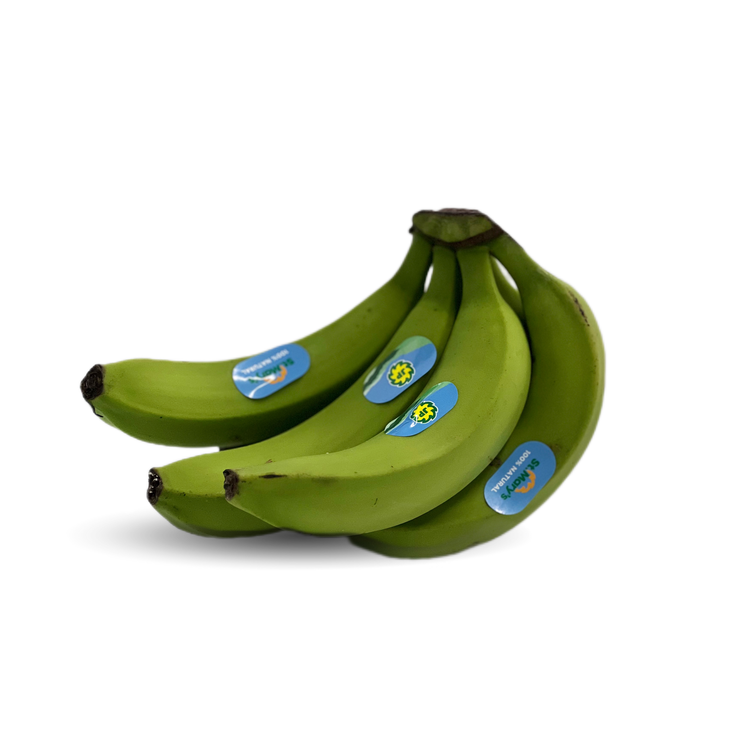 Jamiacan Green Banana (Each) | Starfish Market