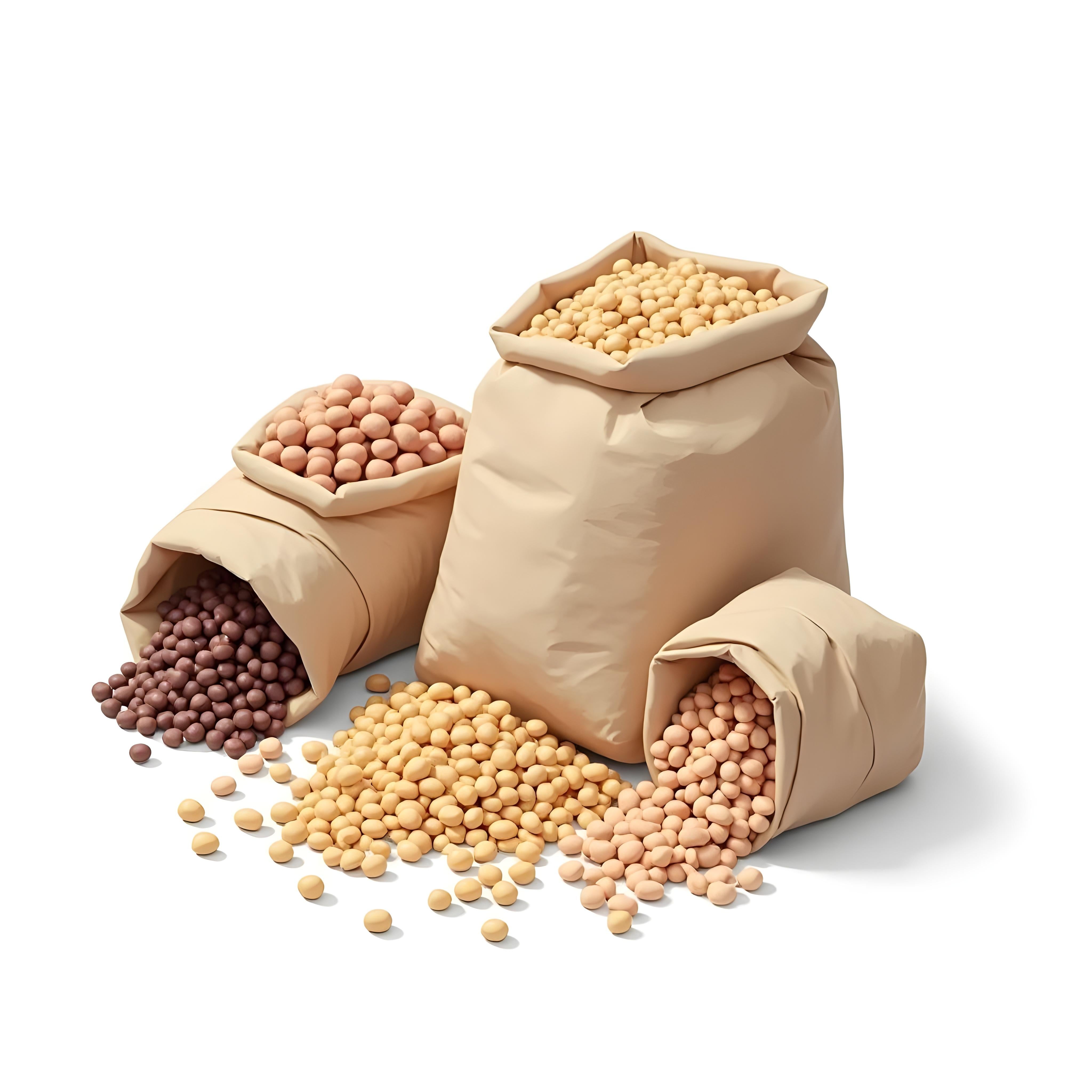 Dry Beans
