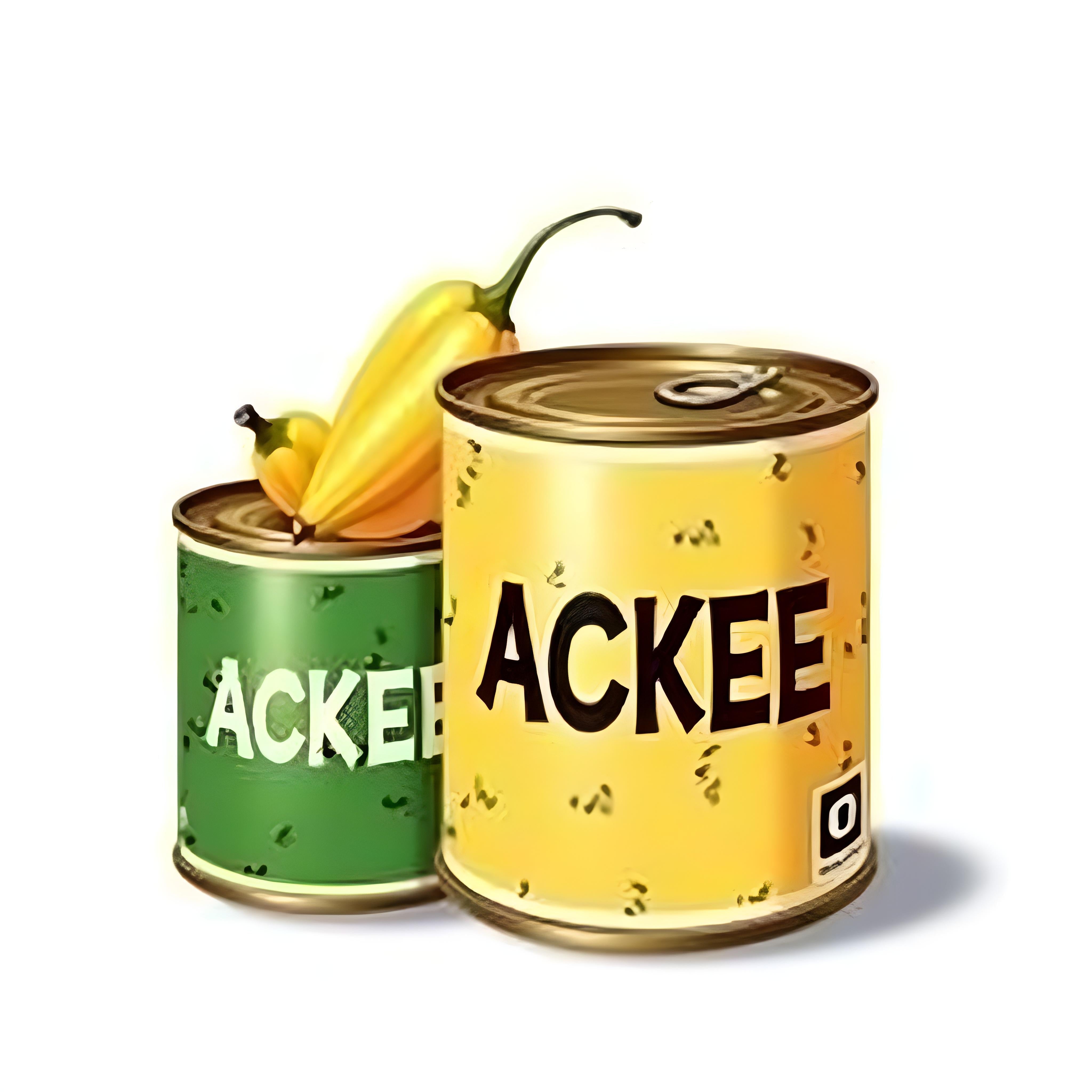 Canned Food