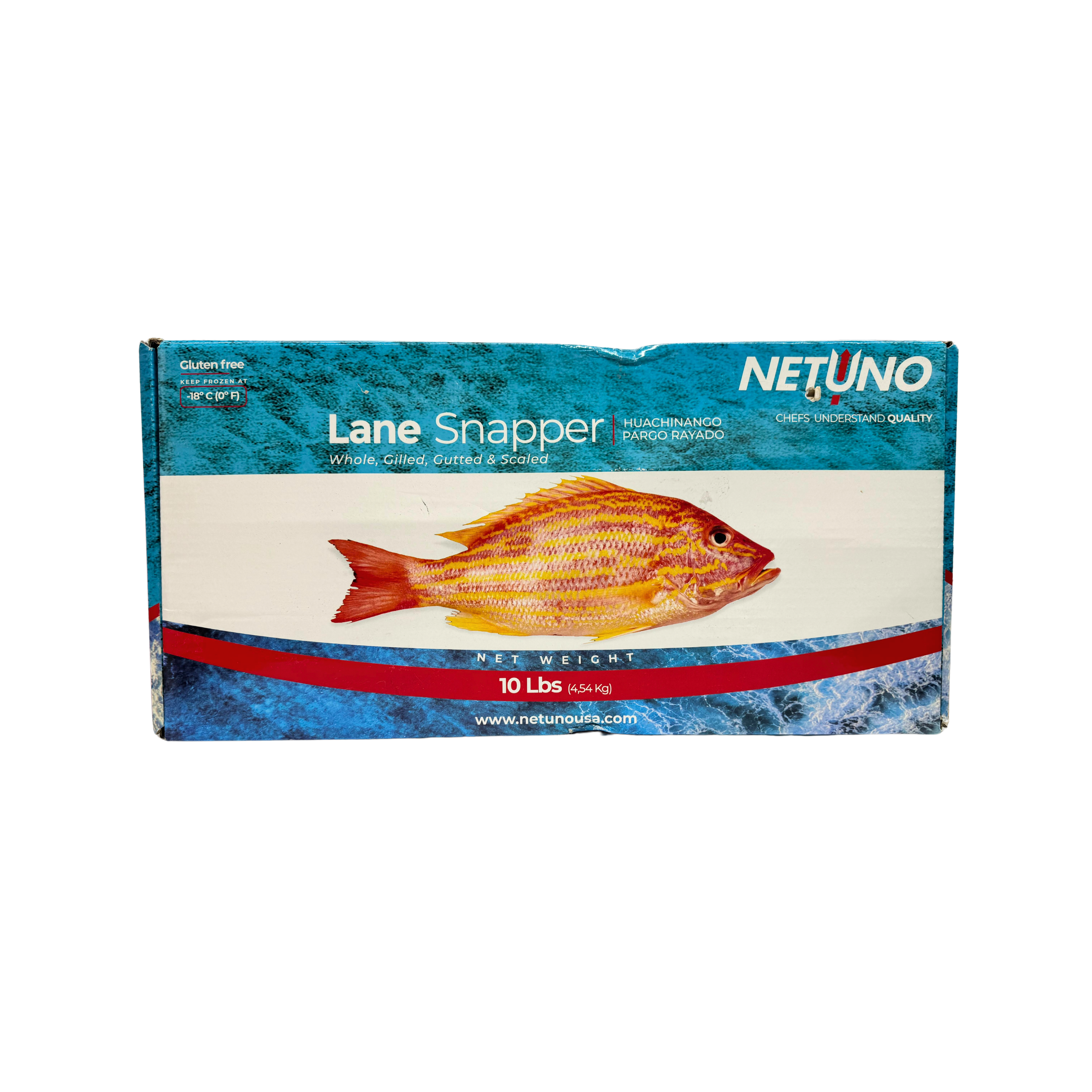 Netuno Lane Snapper Tail WGGS 1/2-3/4 10LBS Box
