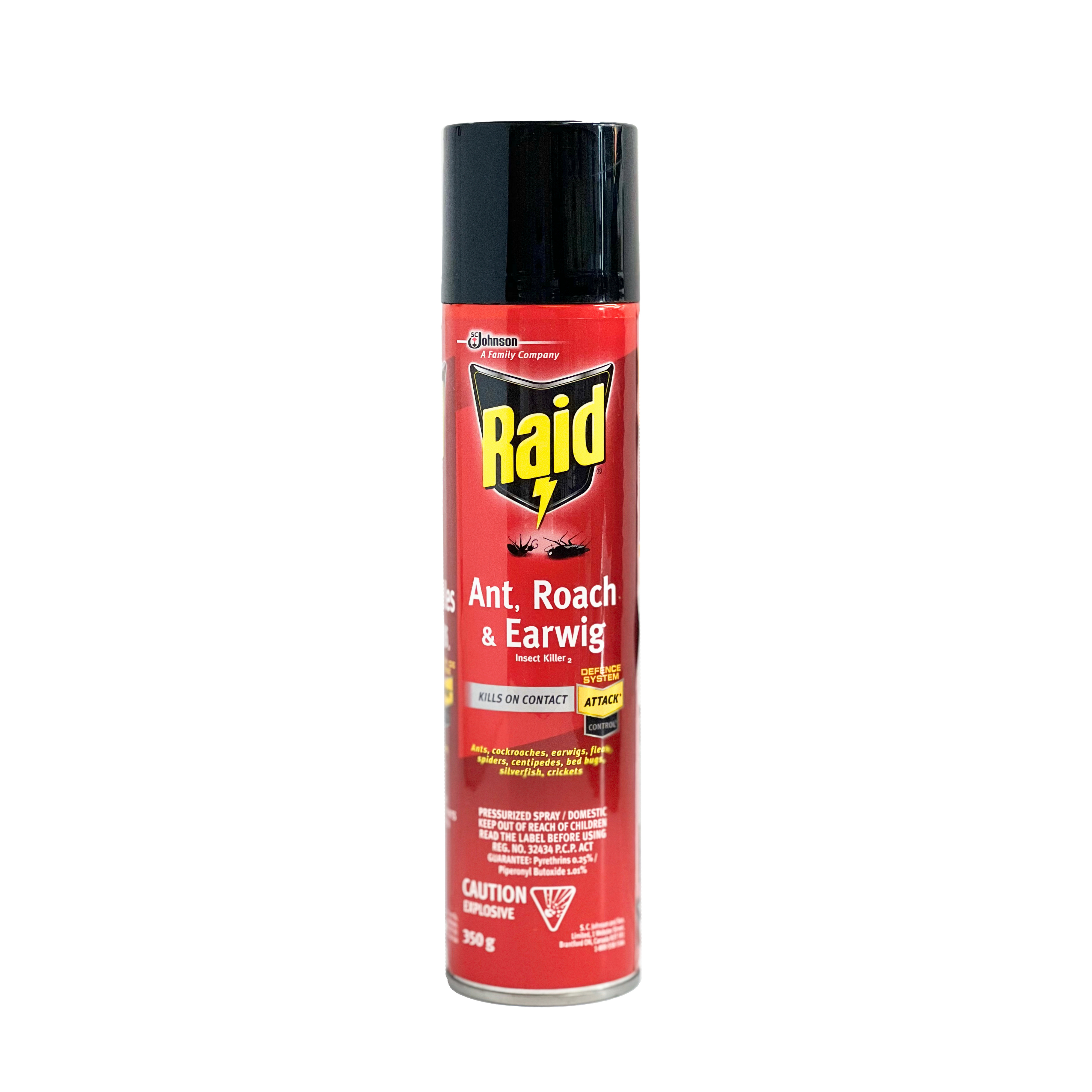 Raid Ant Roach Earwig 350g | Starfish Market