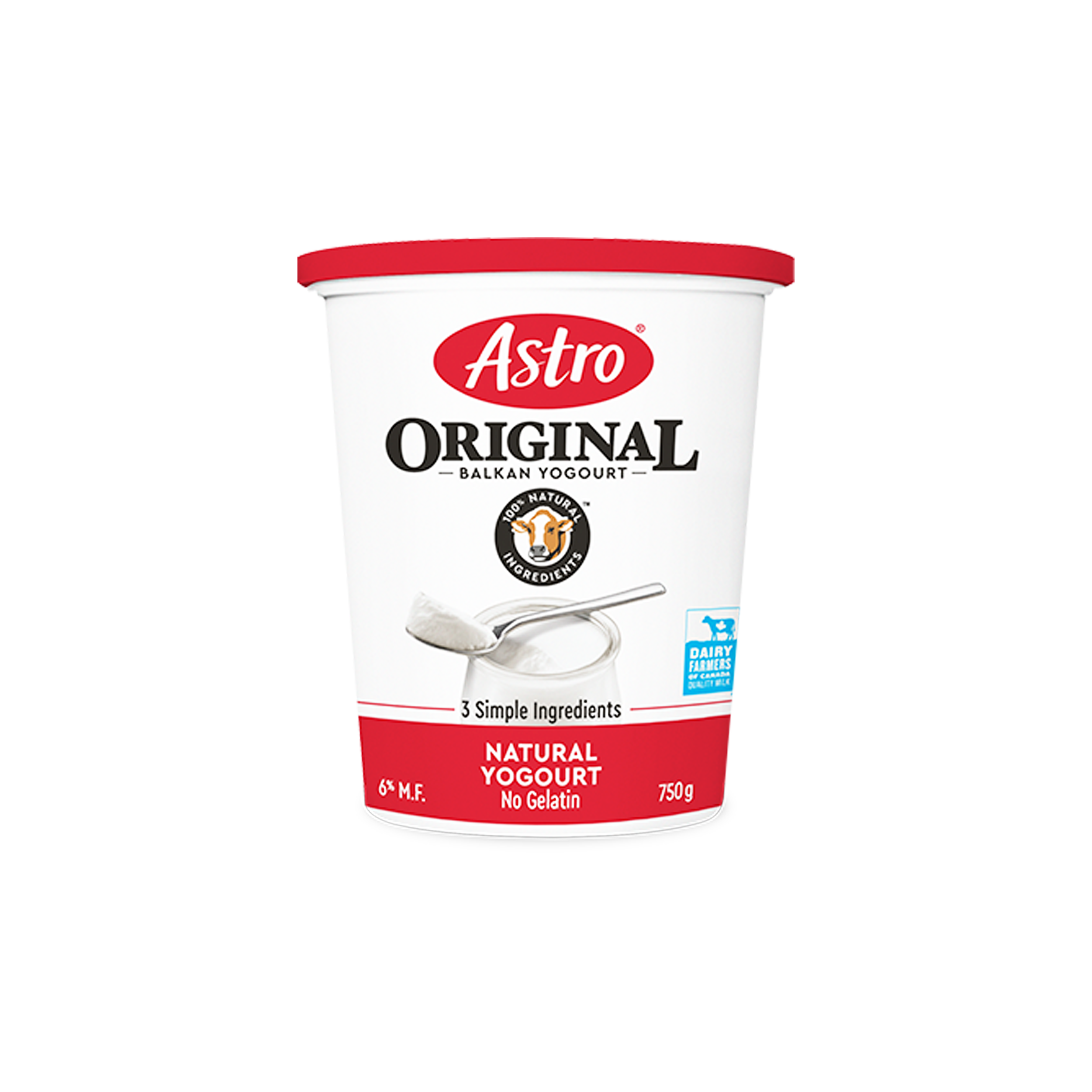 Astro Yogurt Balkan 750G