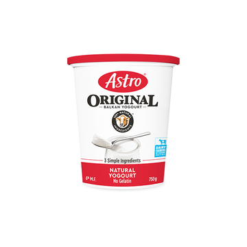 Astro Yogurt Balkan 750G