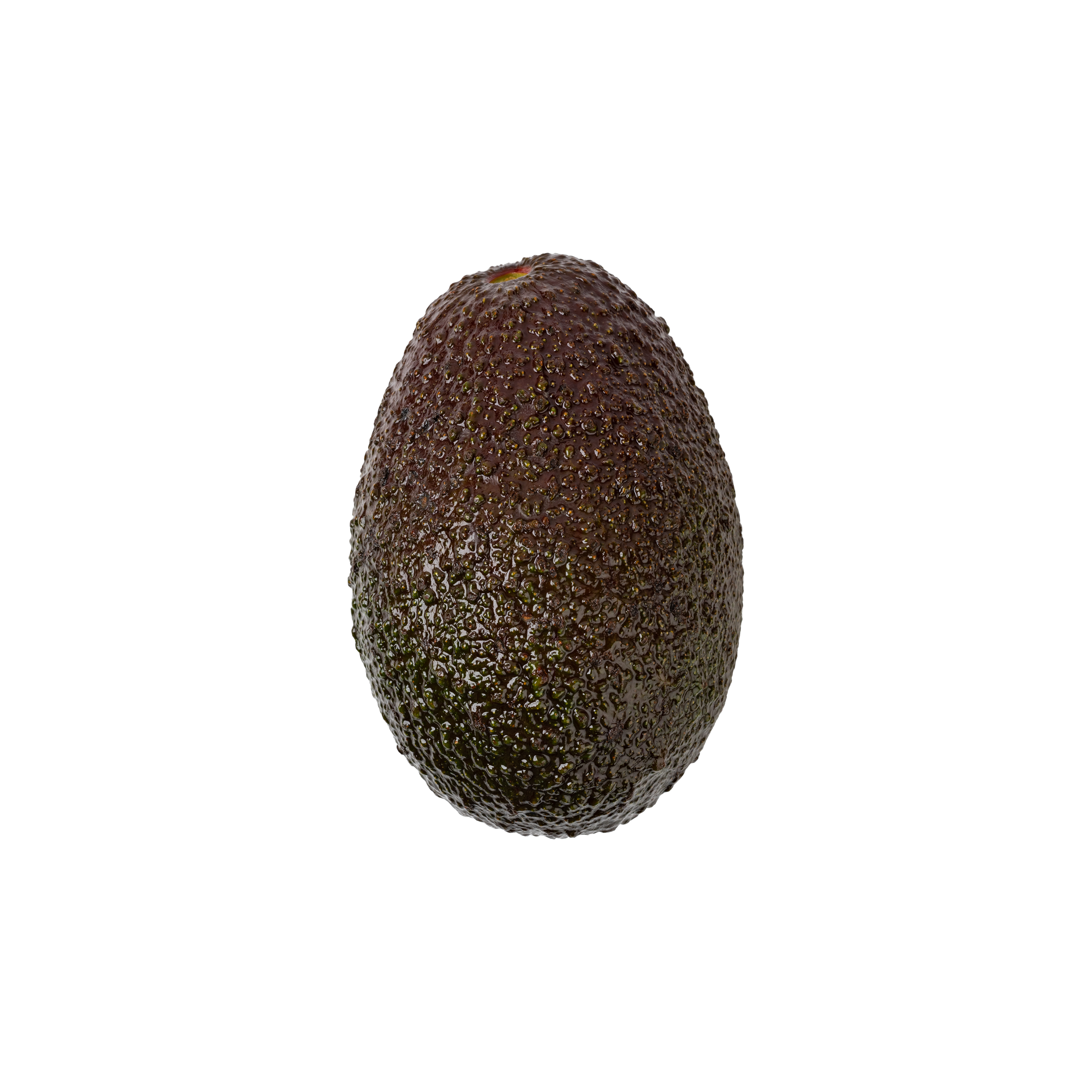 Avocado  1 Count