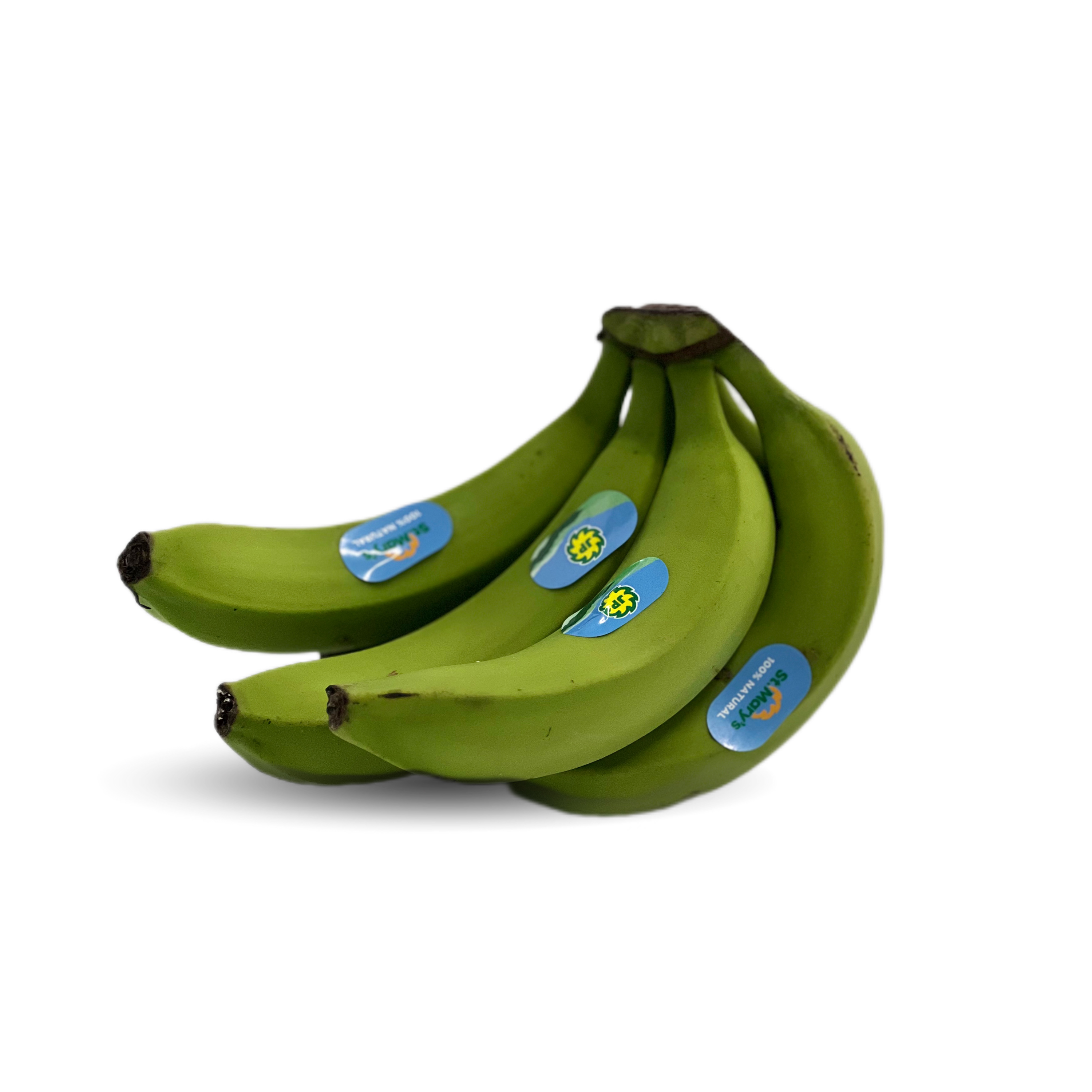 Green Banana Jamiacan 1 Count