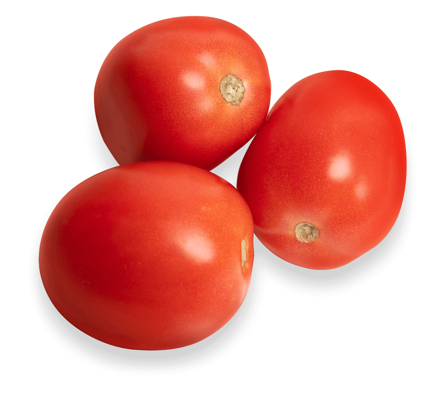 Tomato Roma 1 Count