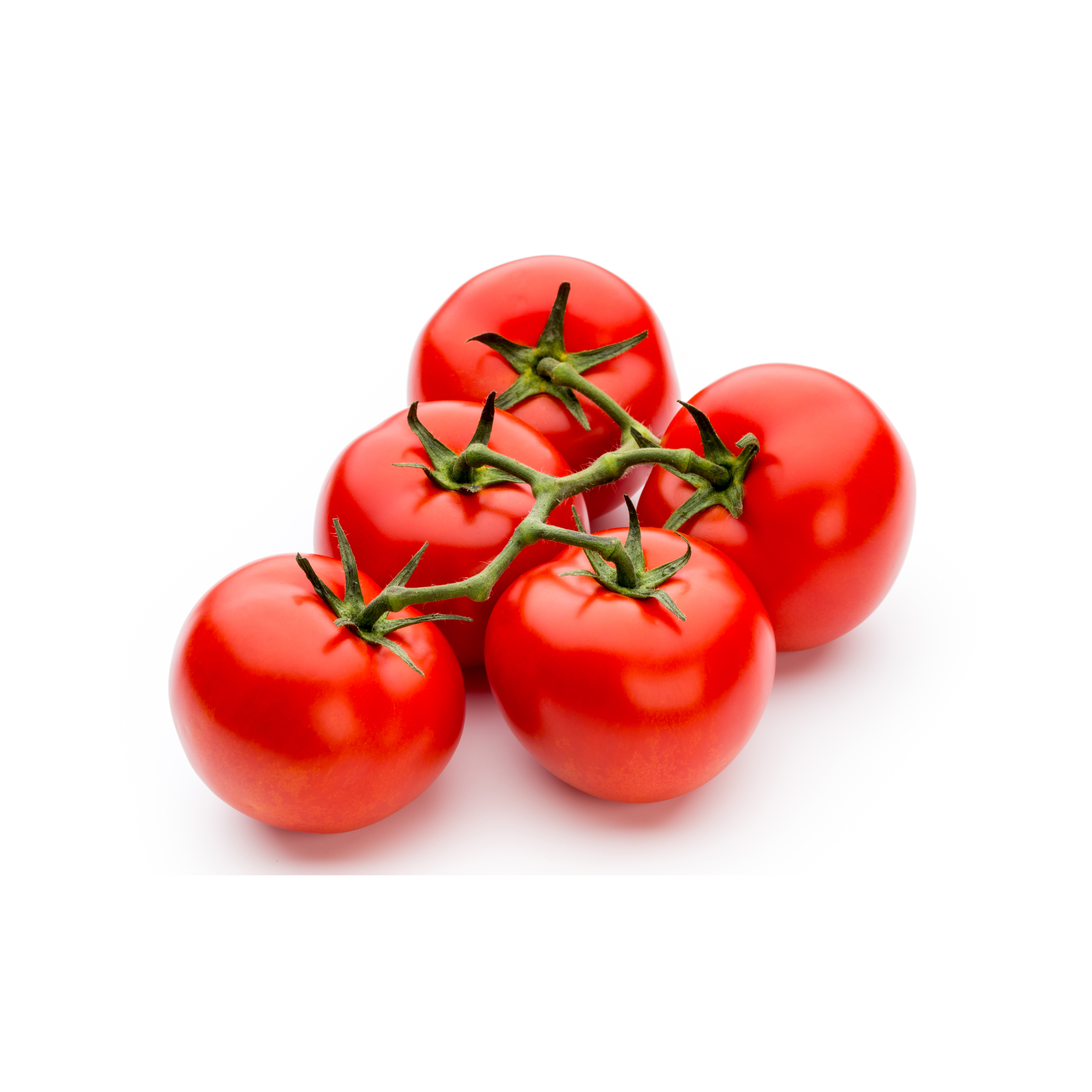 Tomato Vine 1 Count