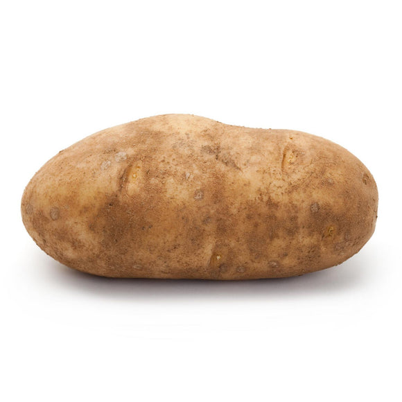 Russet Potato 1 Count