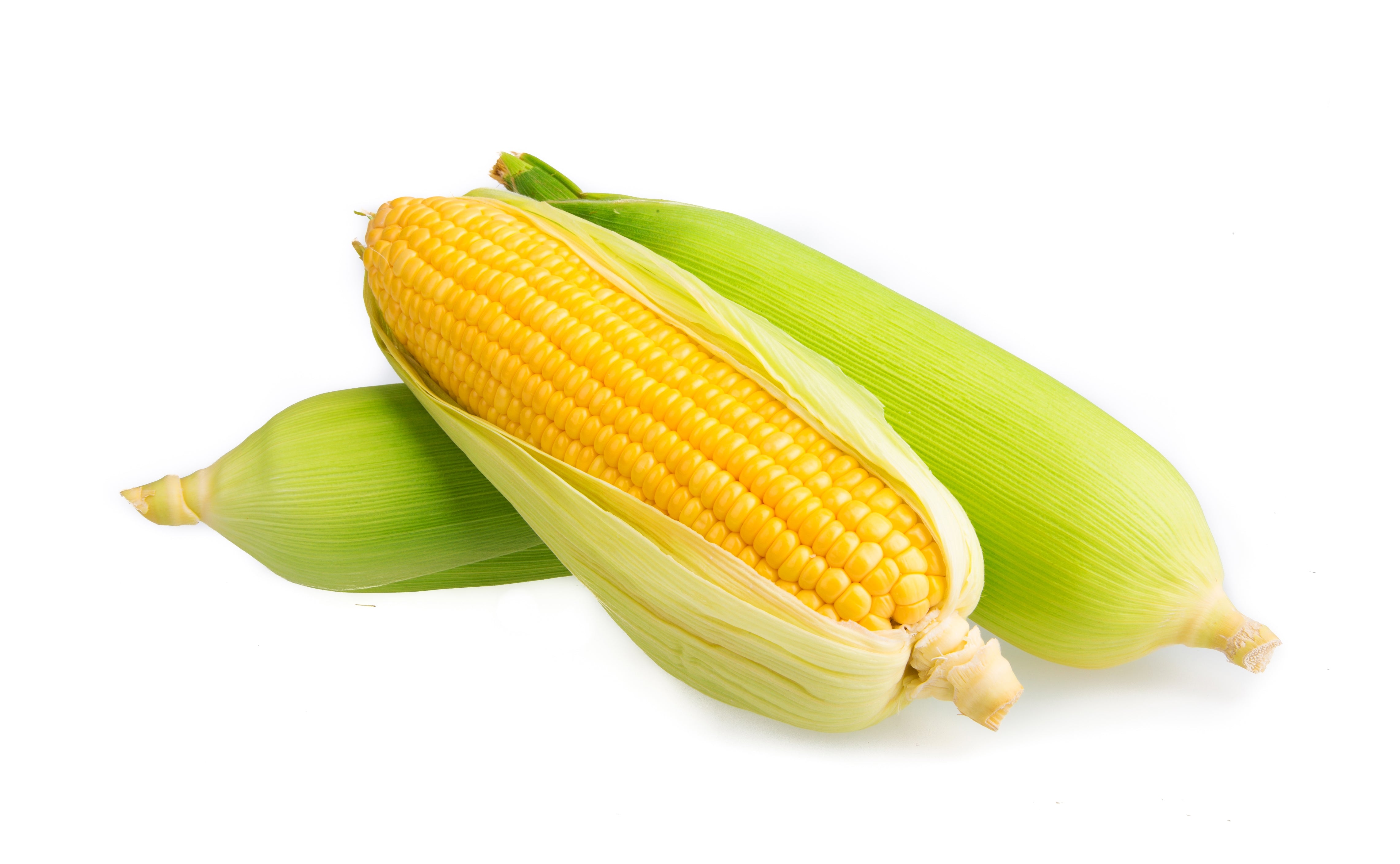 Sweet Corn 3 Pc