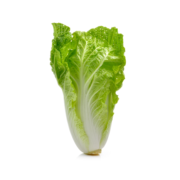 Romaine Lettuce