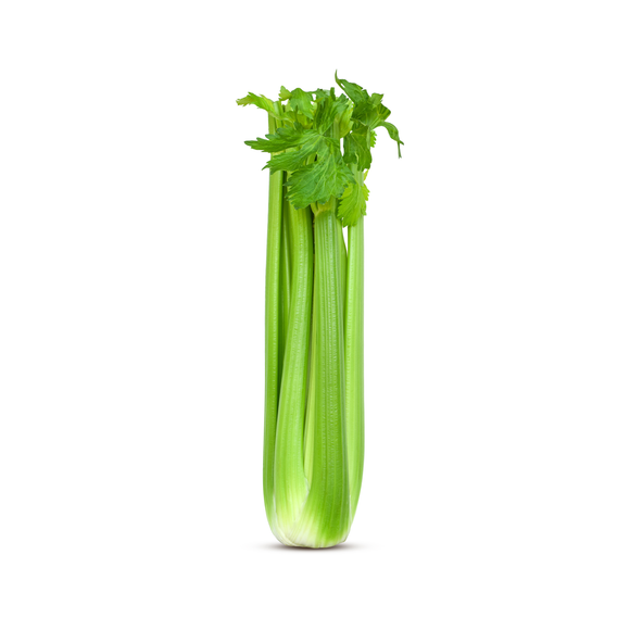 Celery