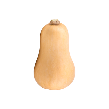 Squash Butternut
