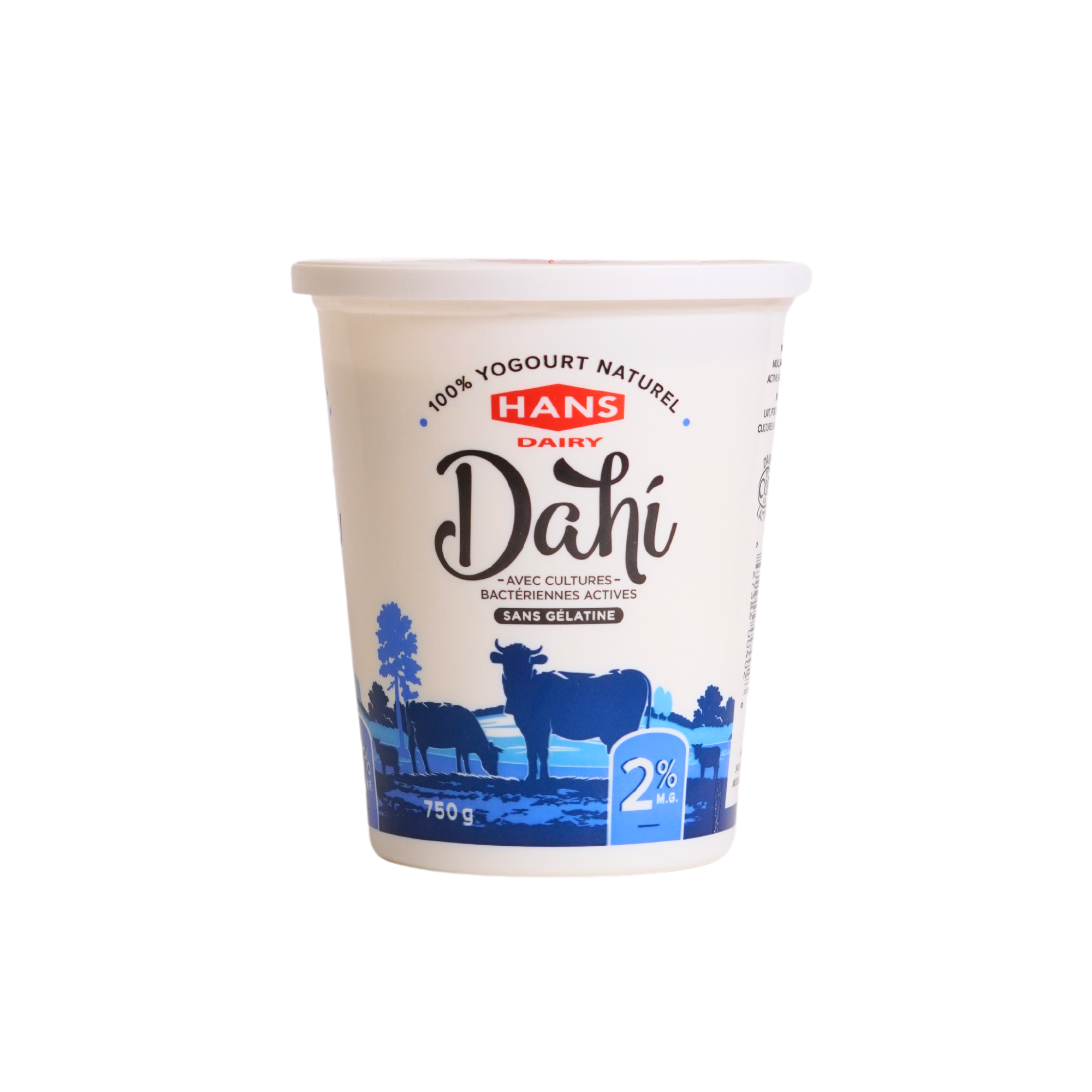 Hans Dahi Yogurt 2% 750g