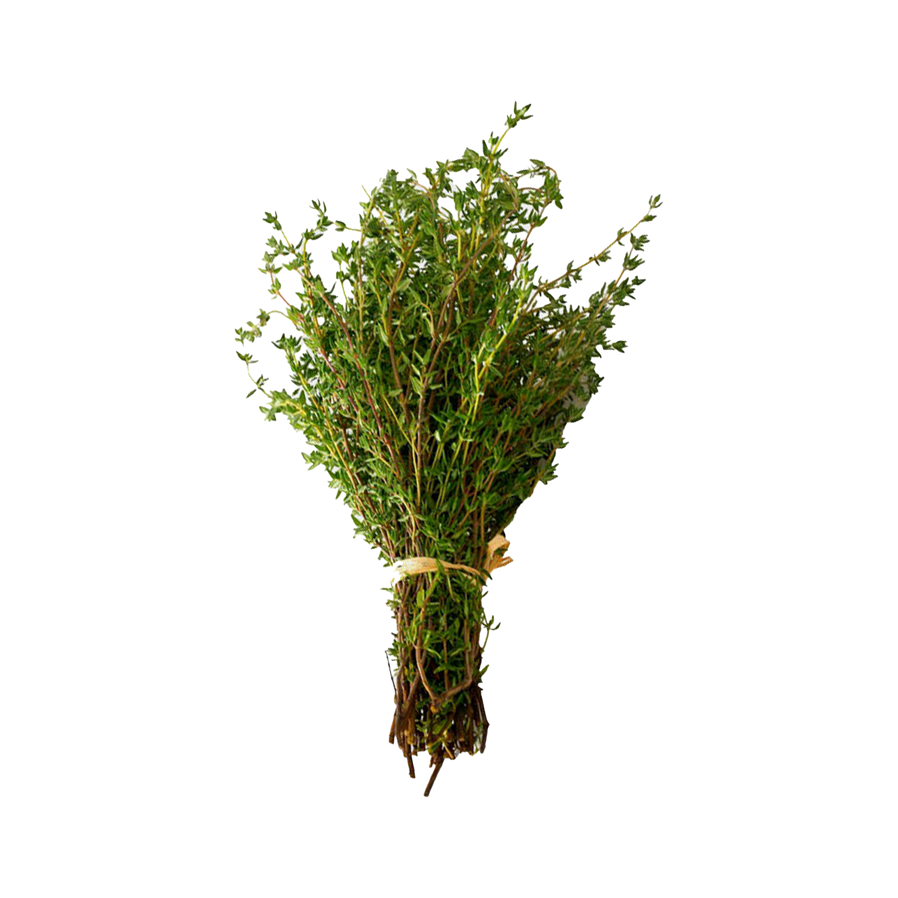 Thyme Local