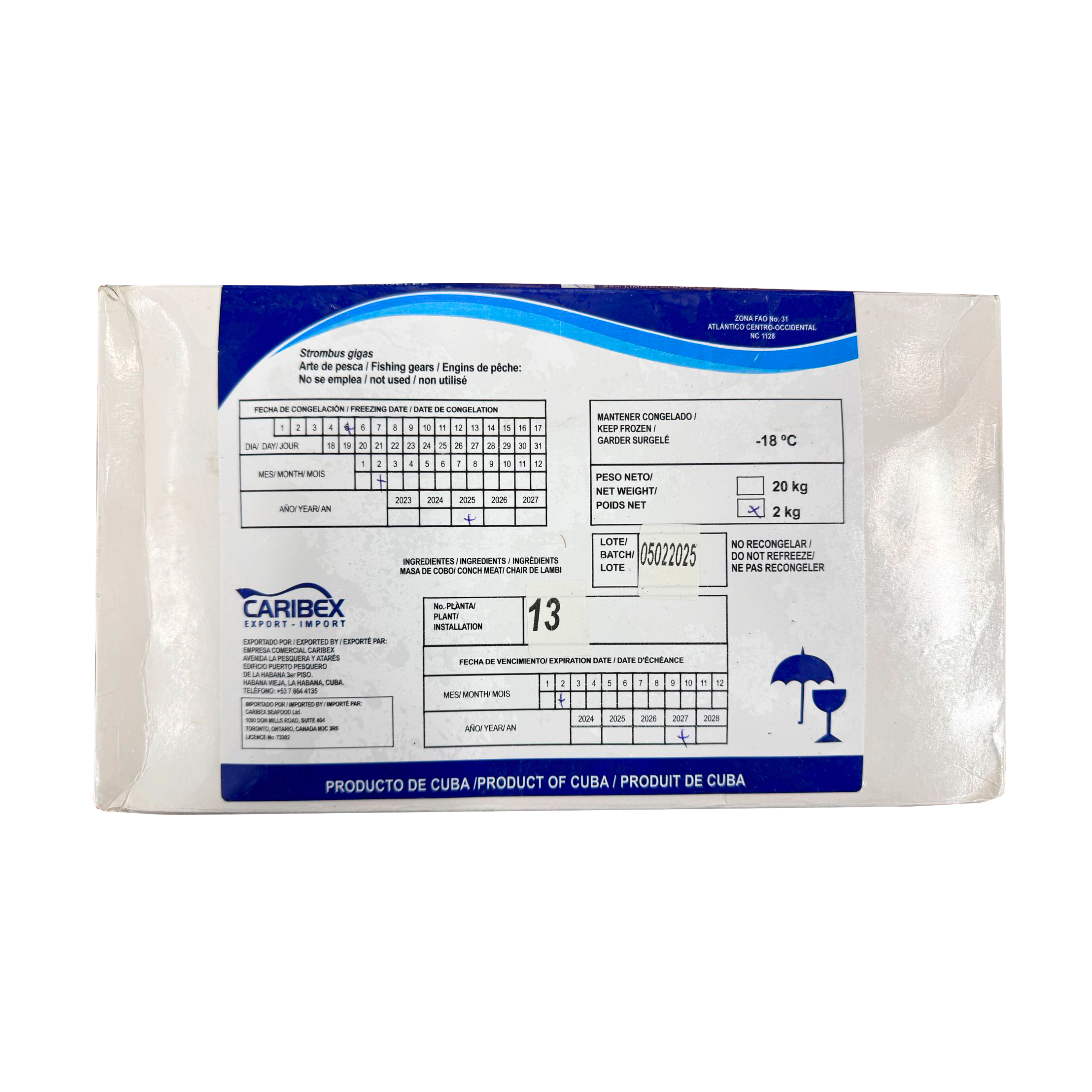 Conch Meat 2Kg