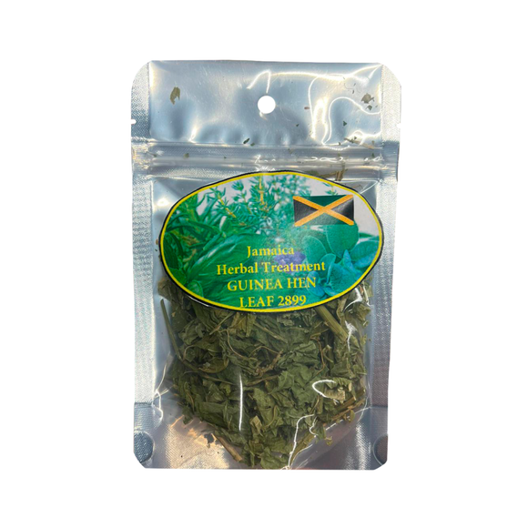 Guinea Hen Jamaican Herb