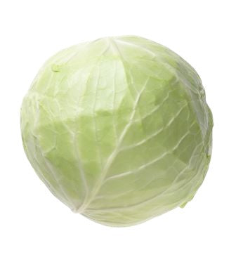 Cabbage