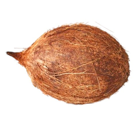 Coconut