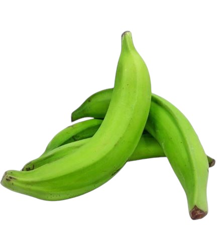 Plantain Green (Each)