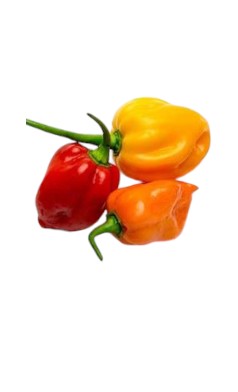 Habanero Peppers (Approx 100g)