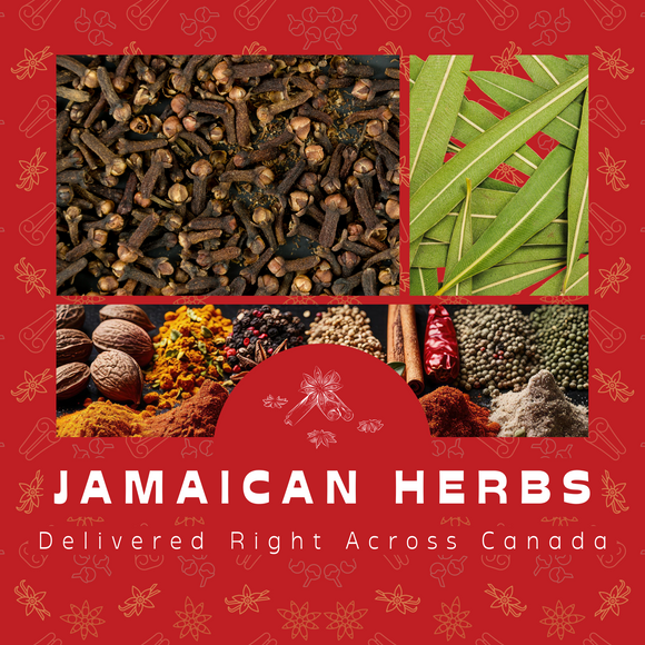 Herbs e0ee79a5 a614 4d2e 89df e7010379c50e