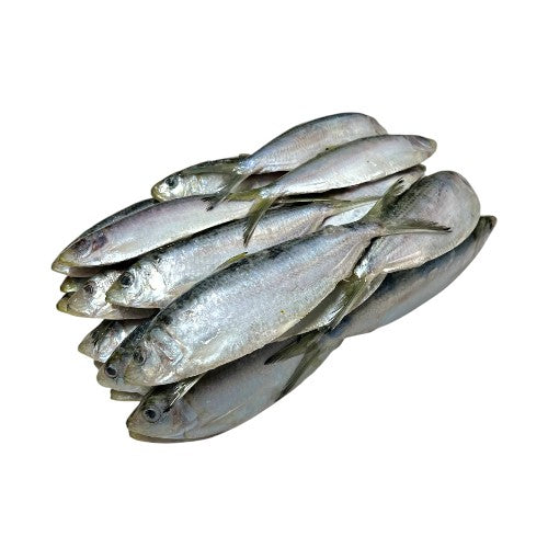 Frozen Herring  Sprat 5 Lb Box - 0