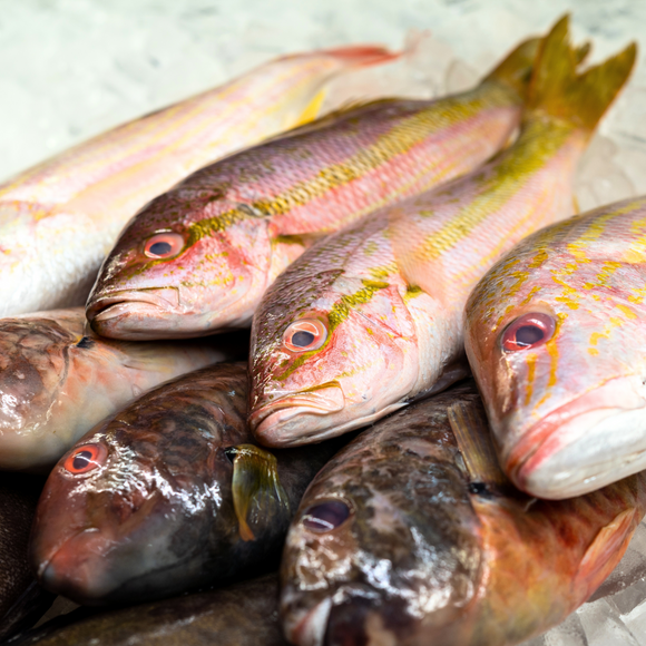 Now shipping 94b2bed5 c486 45b7 b0c5 d59994f087d4