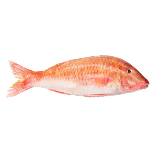 Fresh Red Mullet (Goat Fish)   (Approx. 100g - 200g)