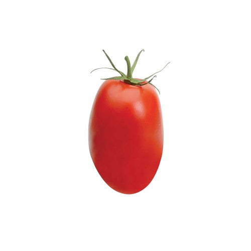Tomato Roma 1 Count