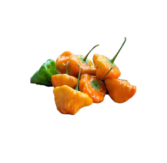 Scotch Bonnet Pepper Approx. 100g)